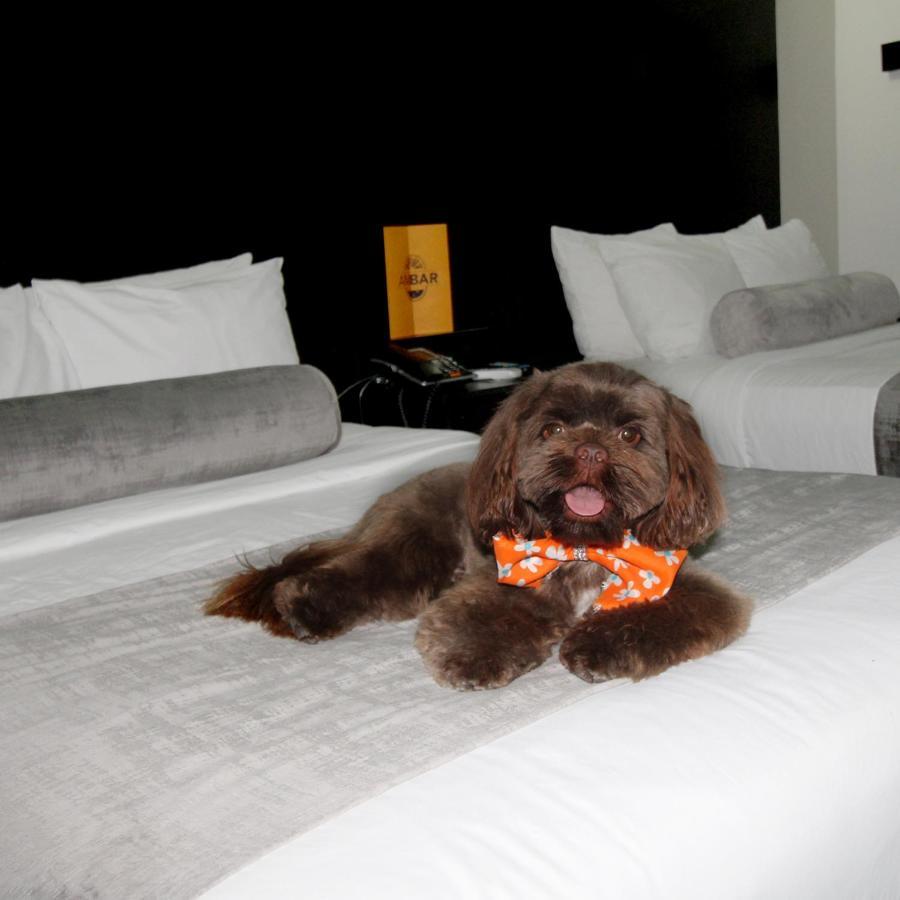 Stay Inn Hotels レイノサ エクステリア 写真